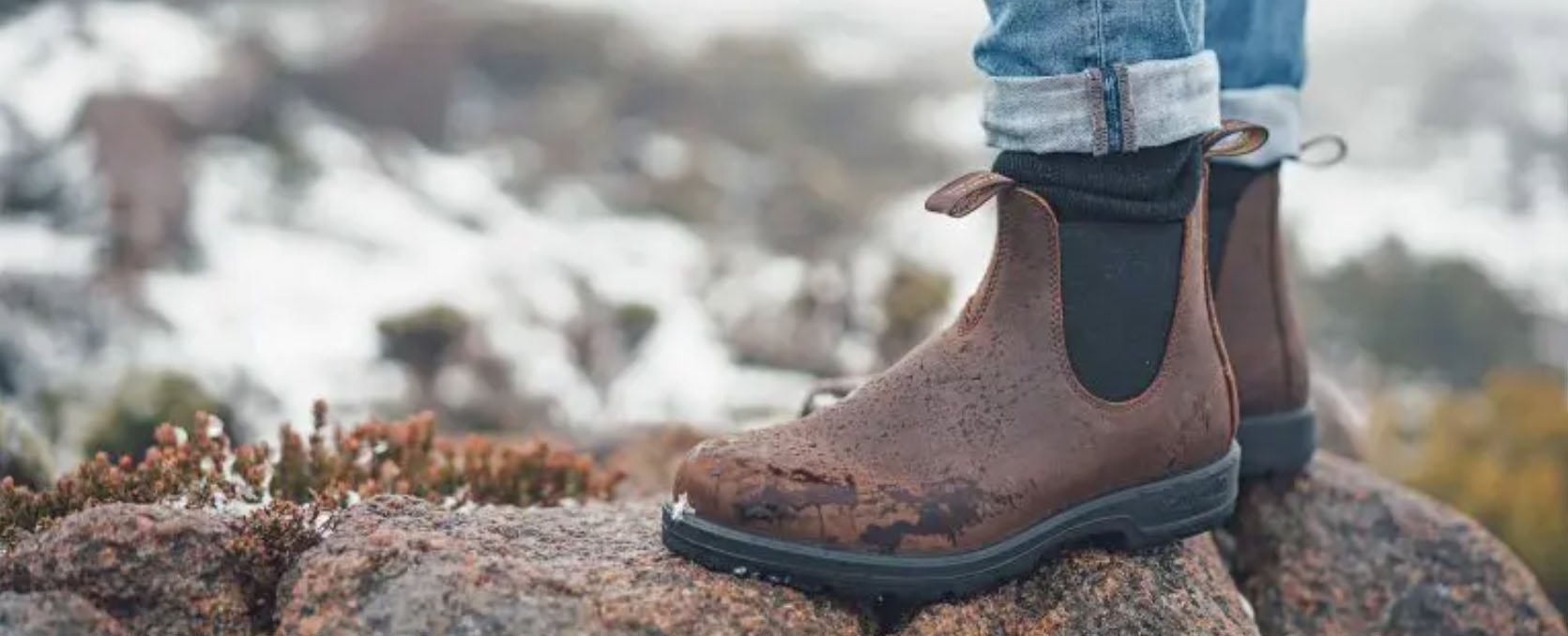 Charles & Keith -Charles & Keith dgg